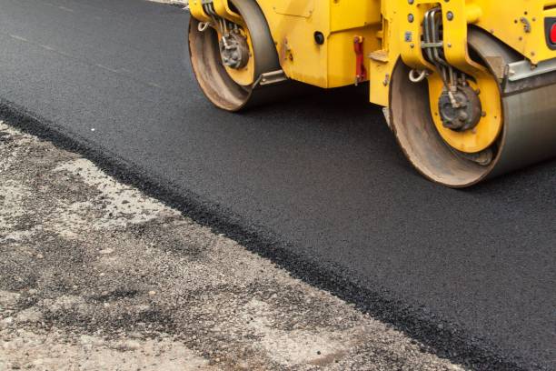 Best Custom Driveway Pavers  in Ozona, TX